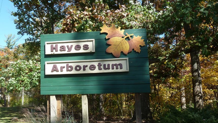 Hayes Arboretum, United States
